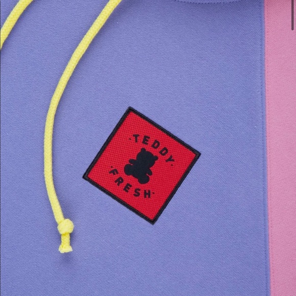 Teddy fresh unisex color block hoodie - Picture 2 of 6
